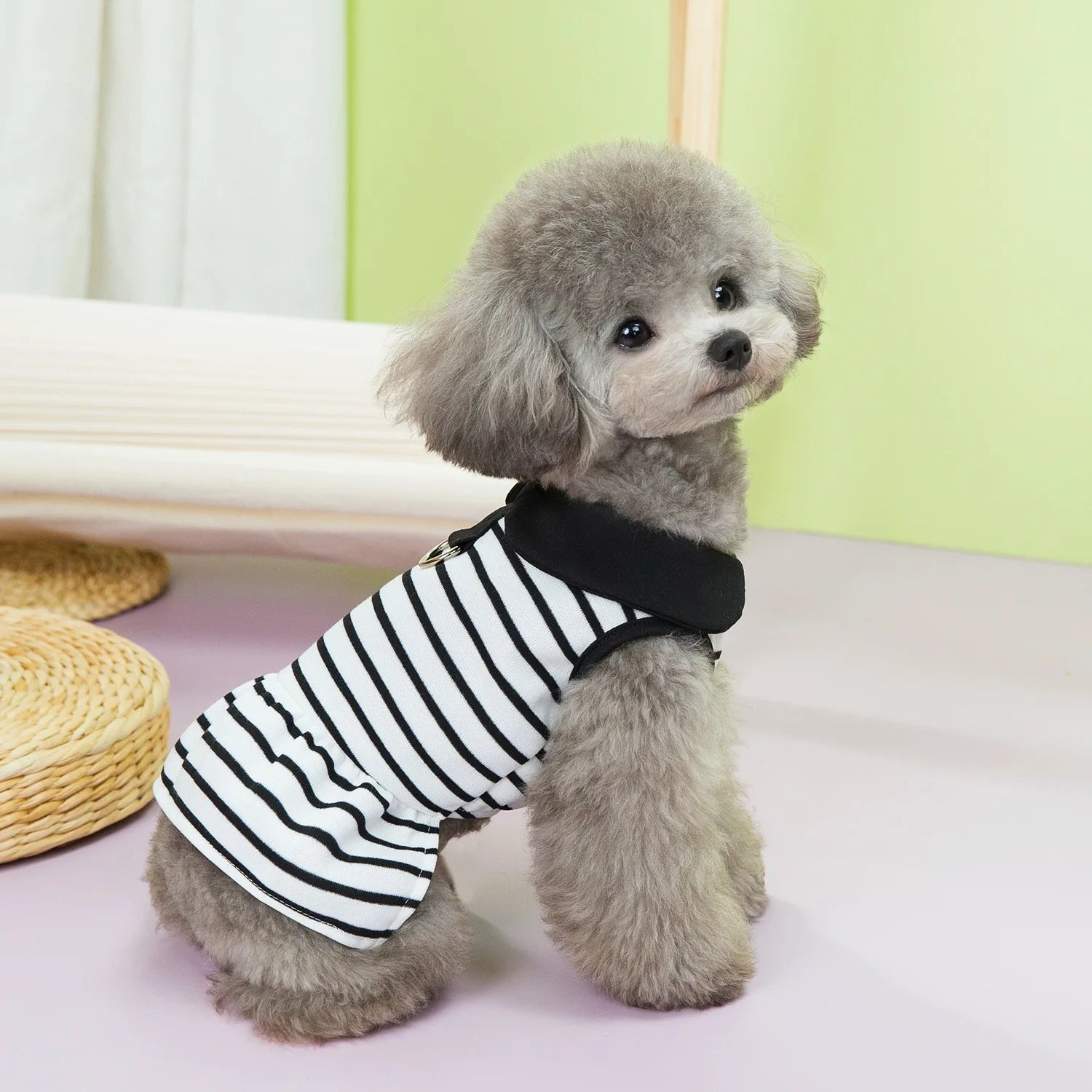Pet Striped Spring T-Shirt & Dress Set