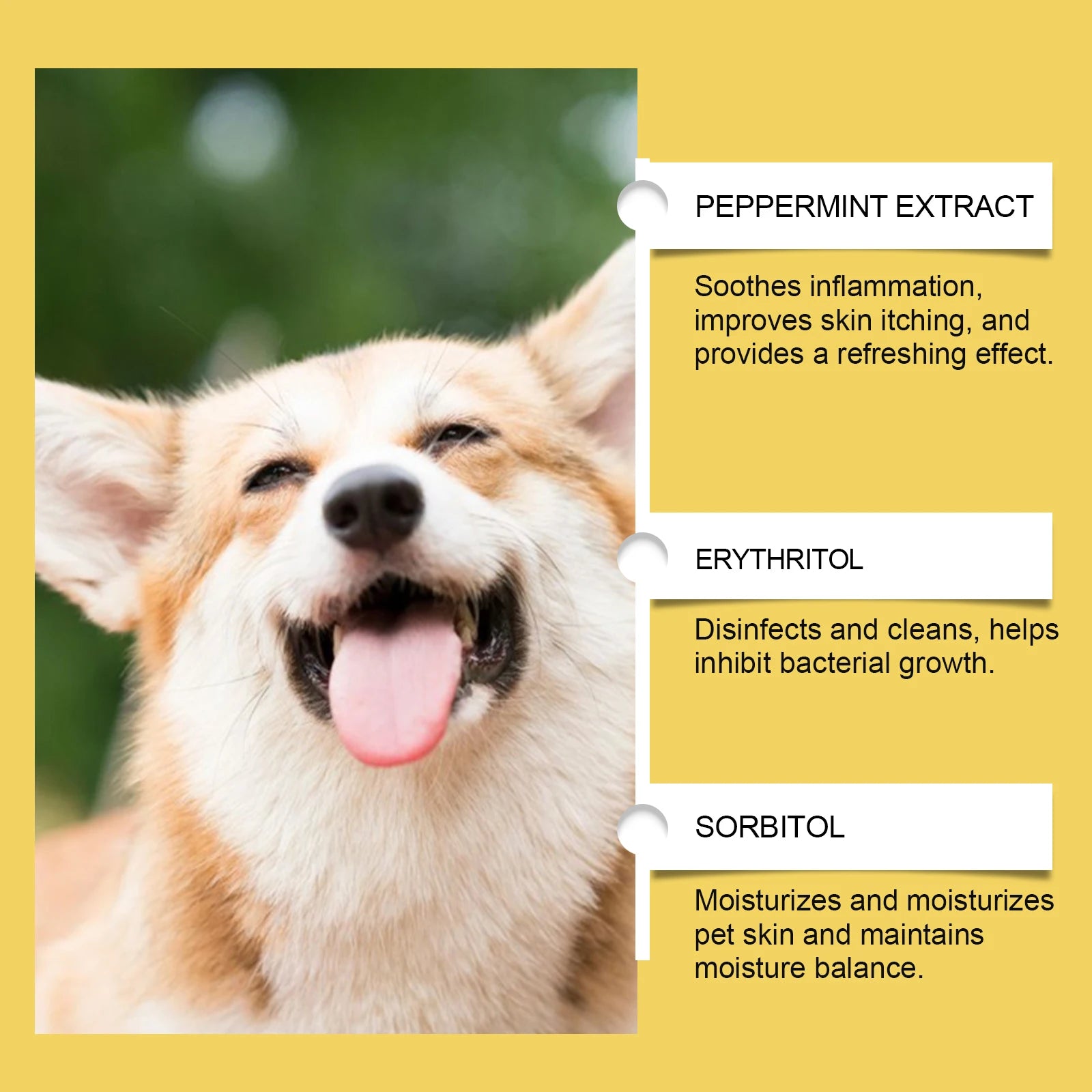 Pet Herbal Supplement