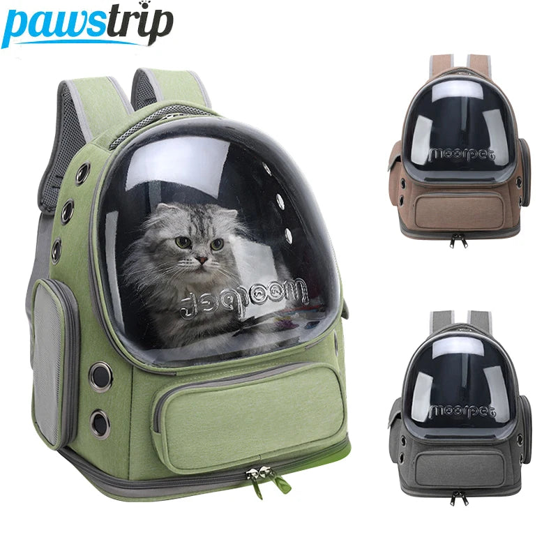 Transparent Cat Backpack Carrier