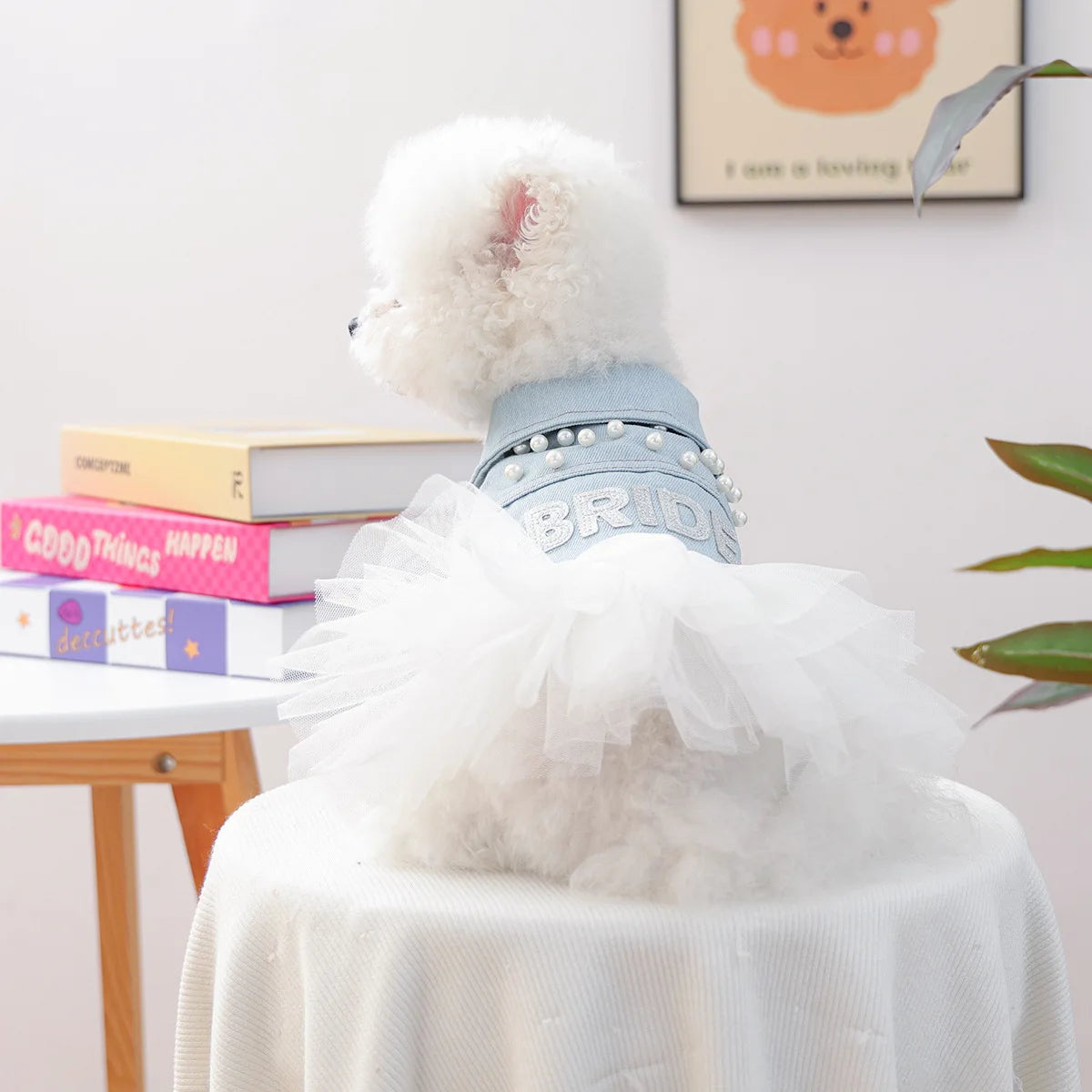 Tutu Dress for Small Dogs & Cats