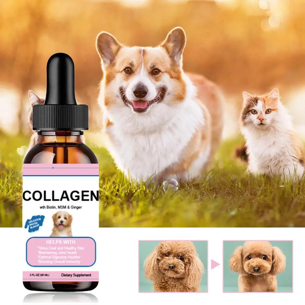 Pet Collagen Drops