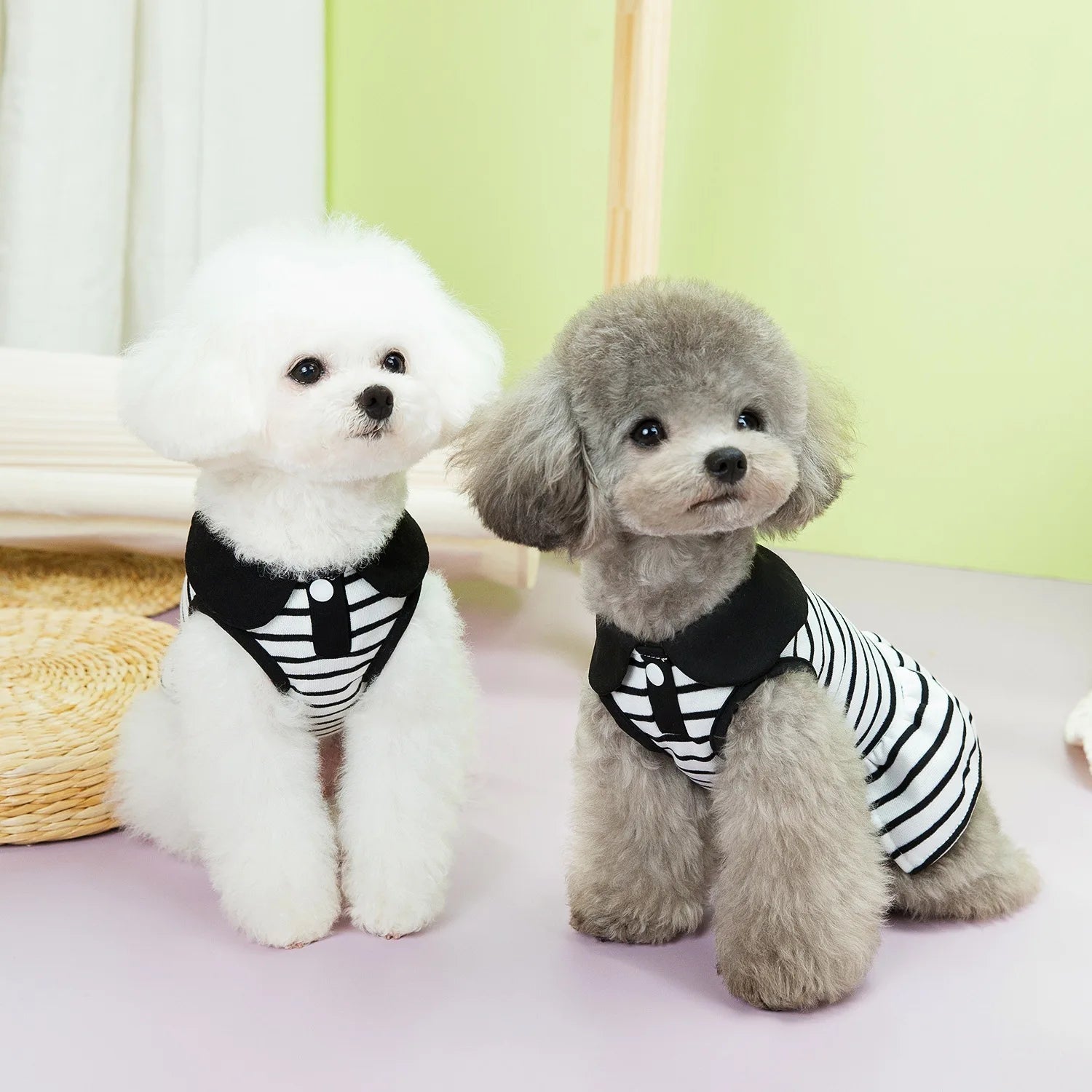 Pet Striped Spring T-Shirt & Dress Set