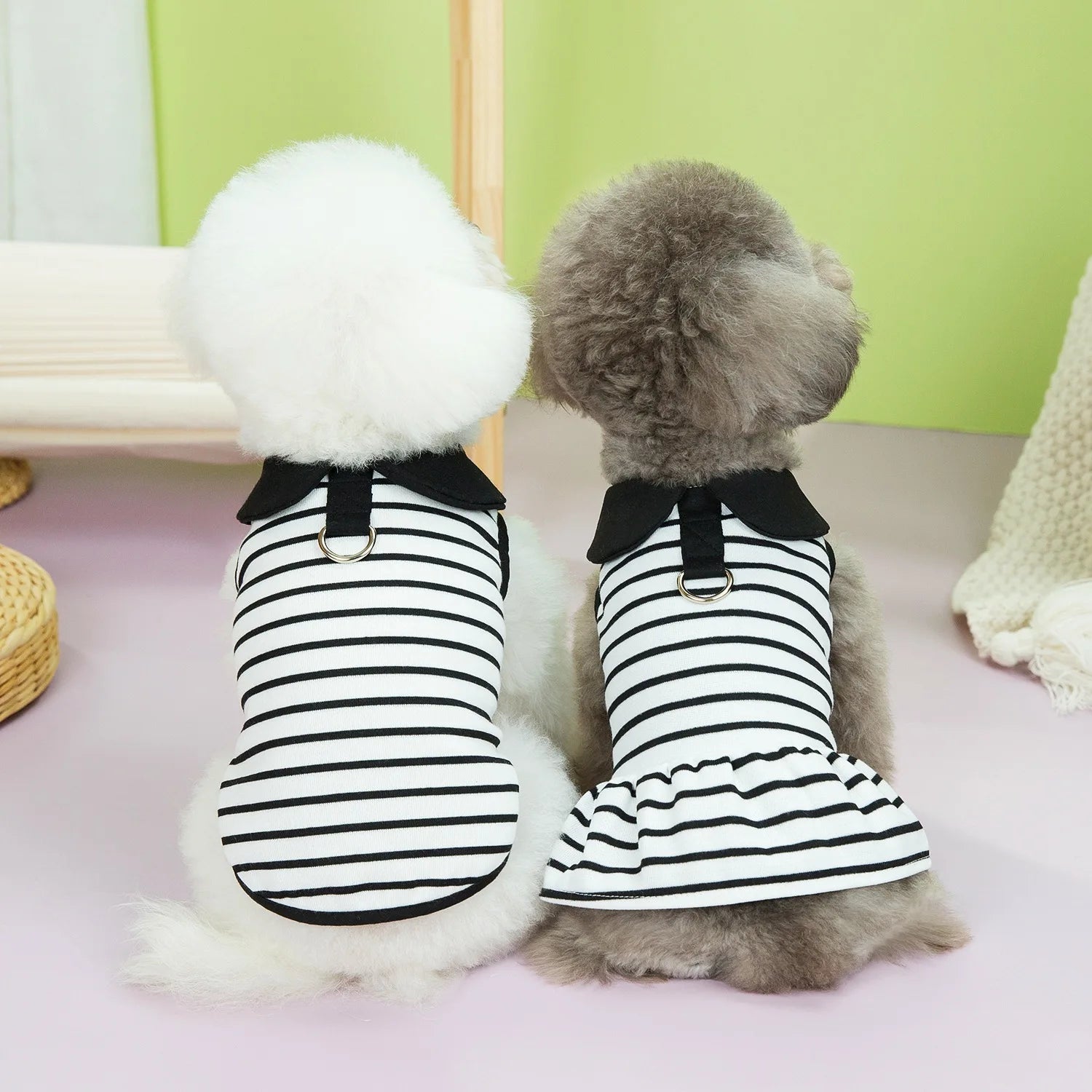 Pet Striped Spring T-Shirt & Dress Set