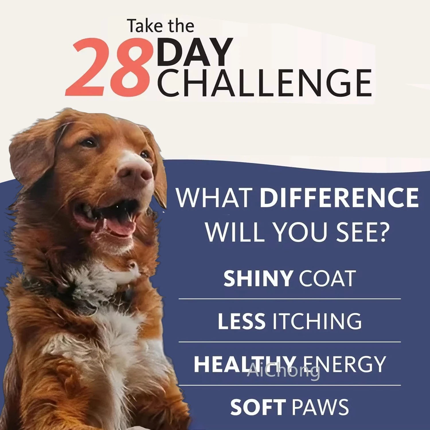 Natural Salmon Oil for Dogs & Cats