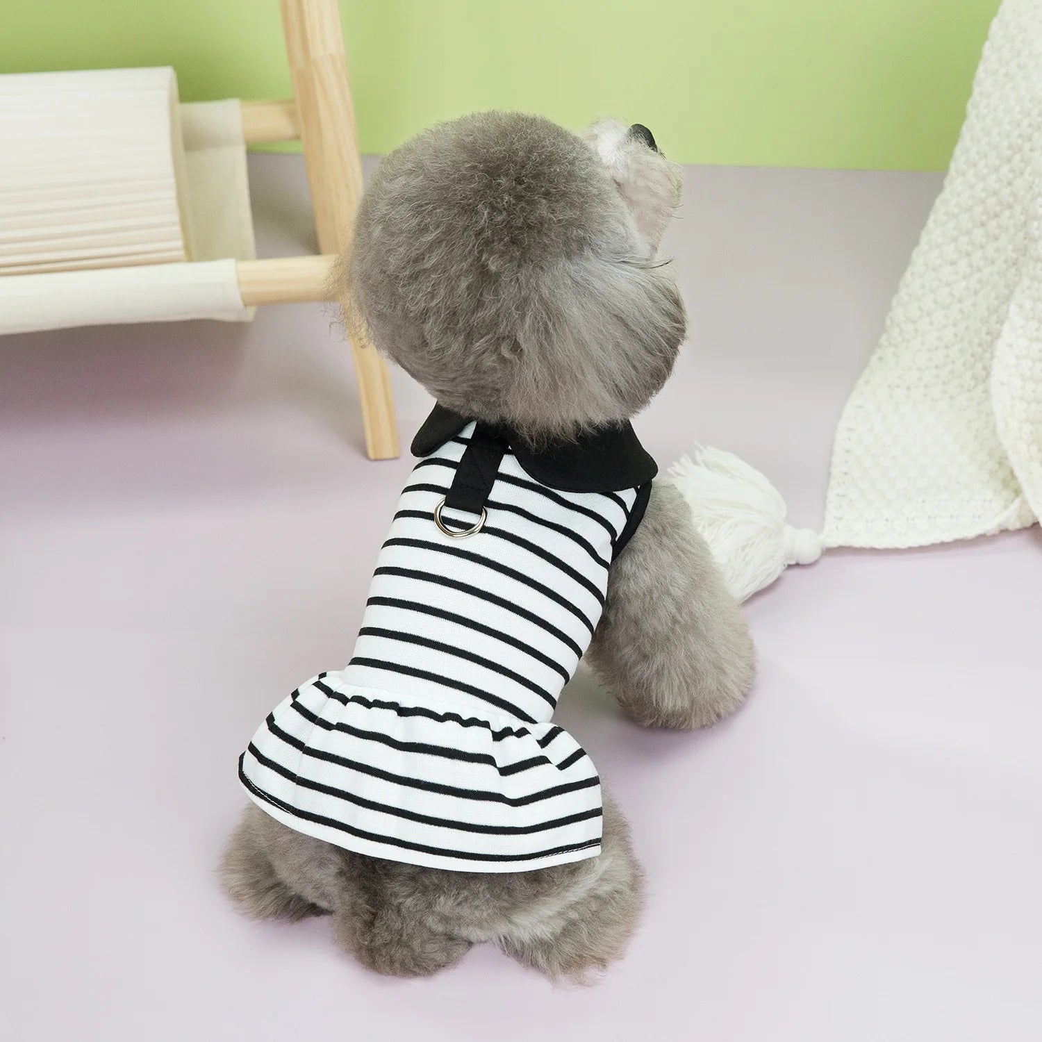 Pet Striped Spring T-Shirt & Dress Set