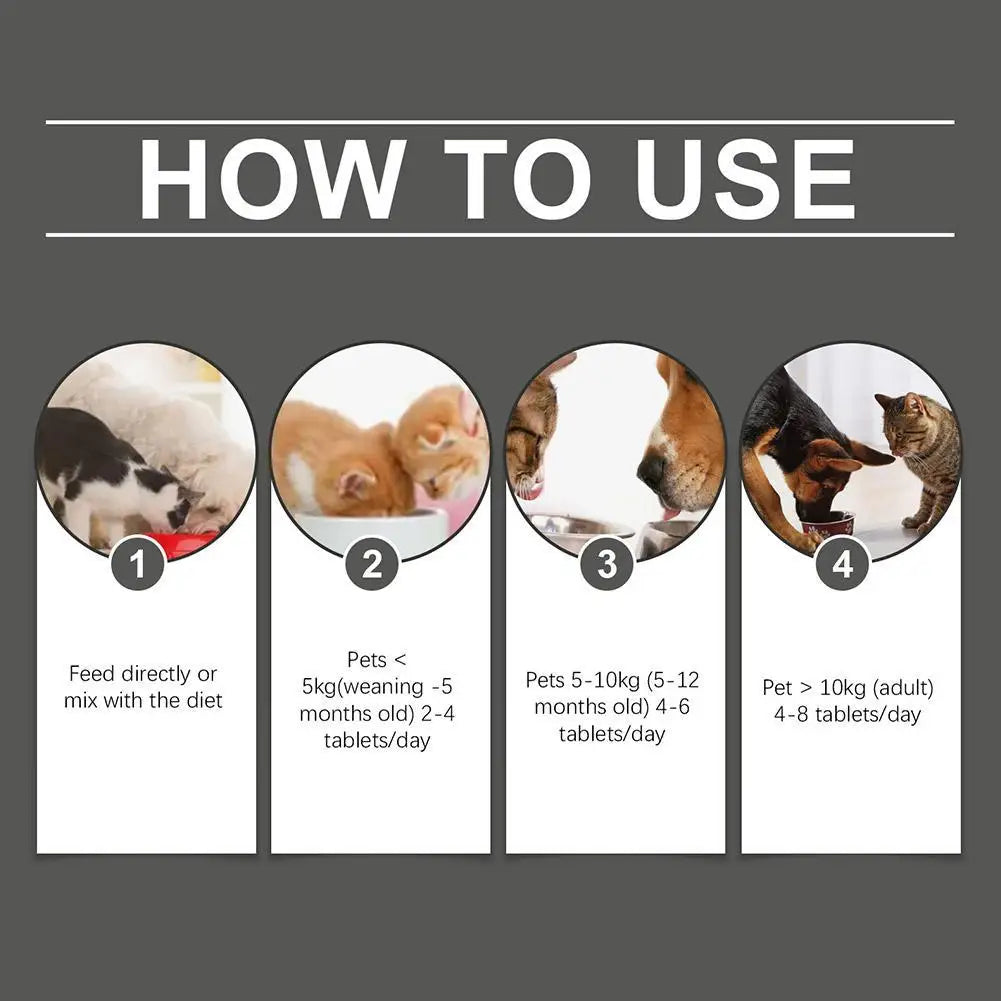 Dog Probiotic Supplement