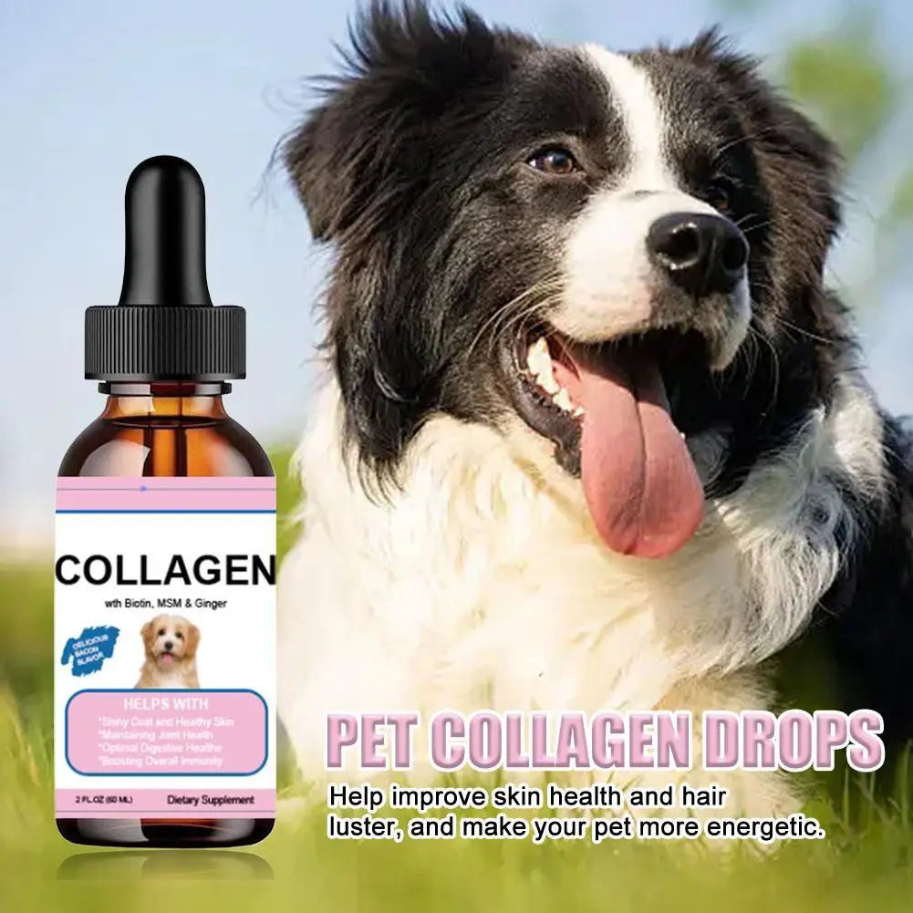 Pet Collagen Drops