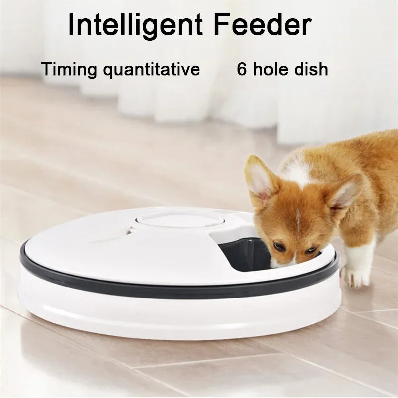 Dog/Cat Smart Feeder with Timer & Voice Recorder