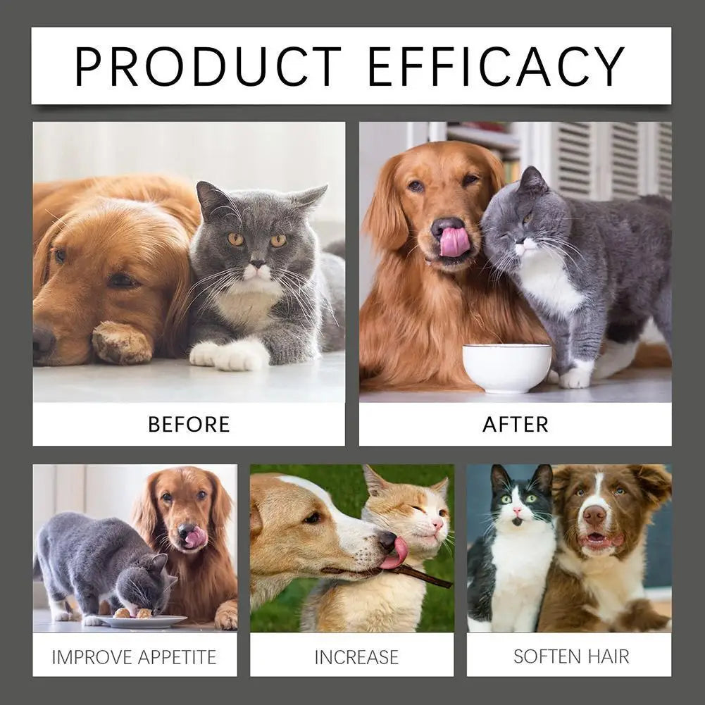 Dog Probiotic Supplement