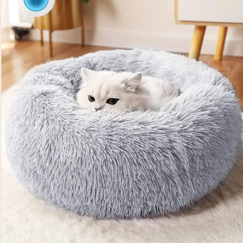 Winter Cat Bed