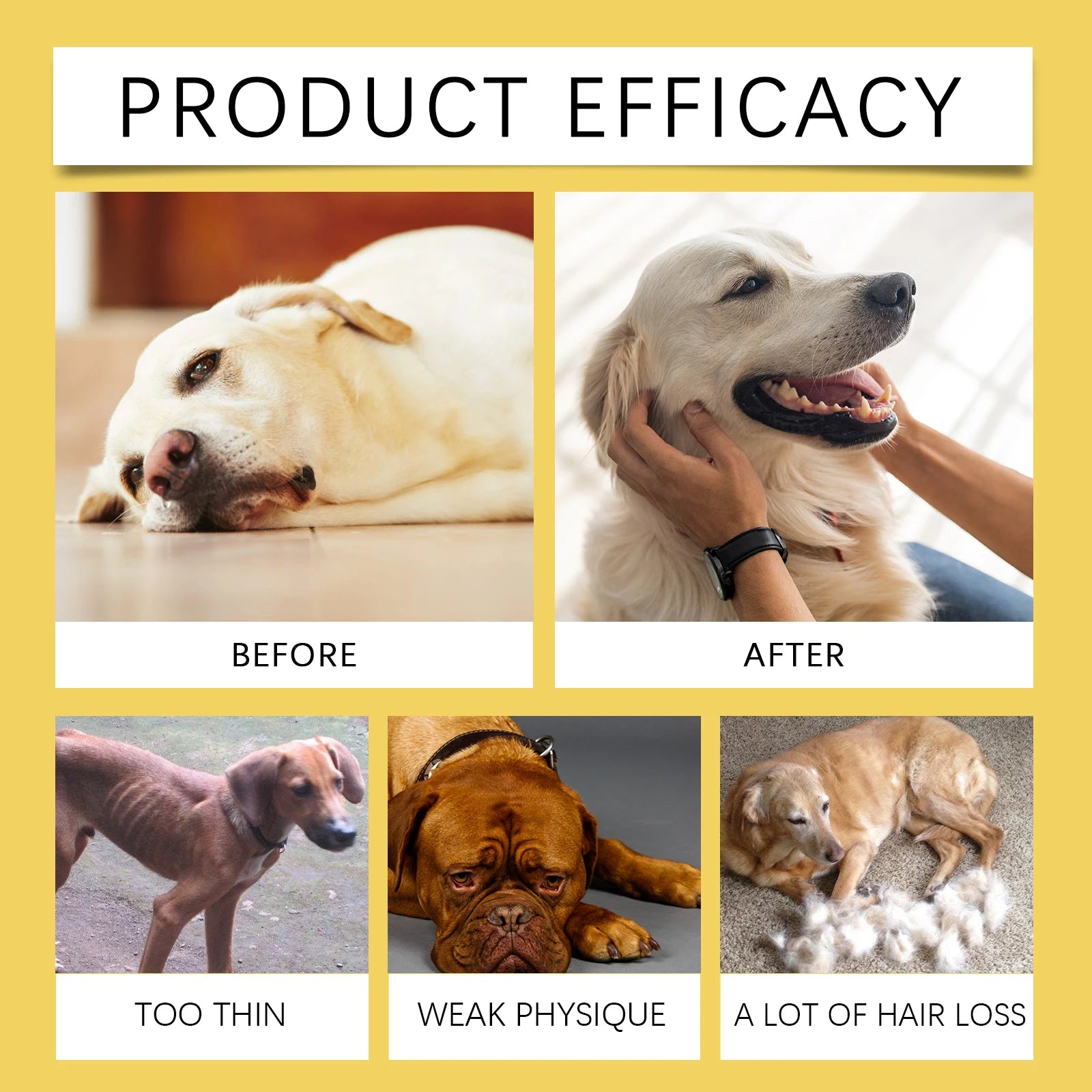 Pet Herbal Supplement